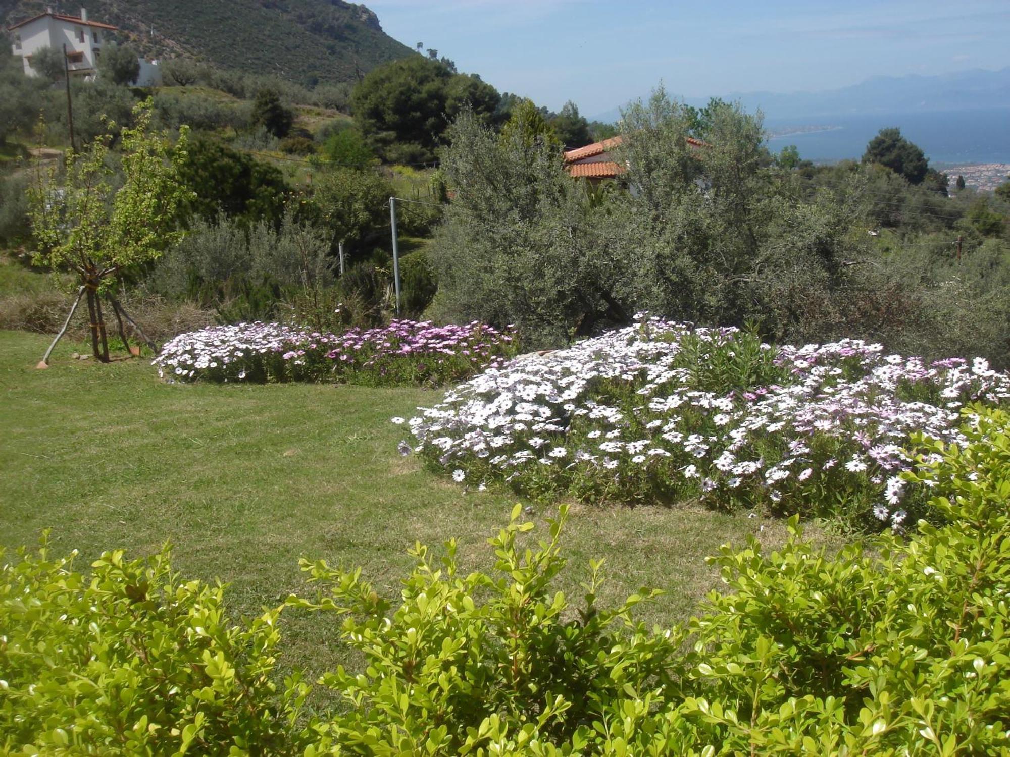 Hotel Theasi Diakopto Buitenkant foto